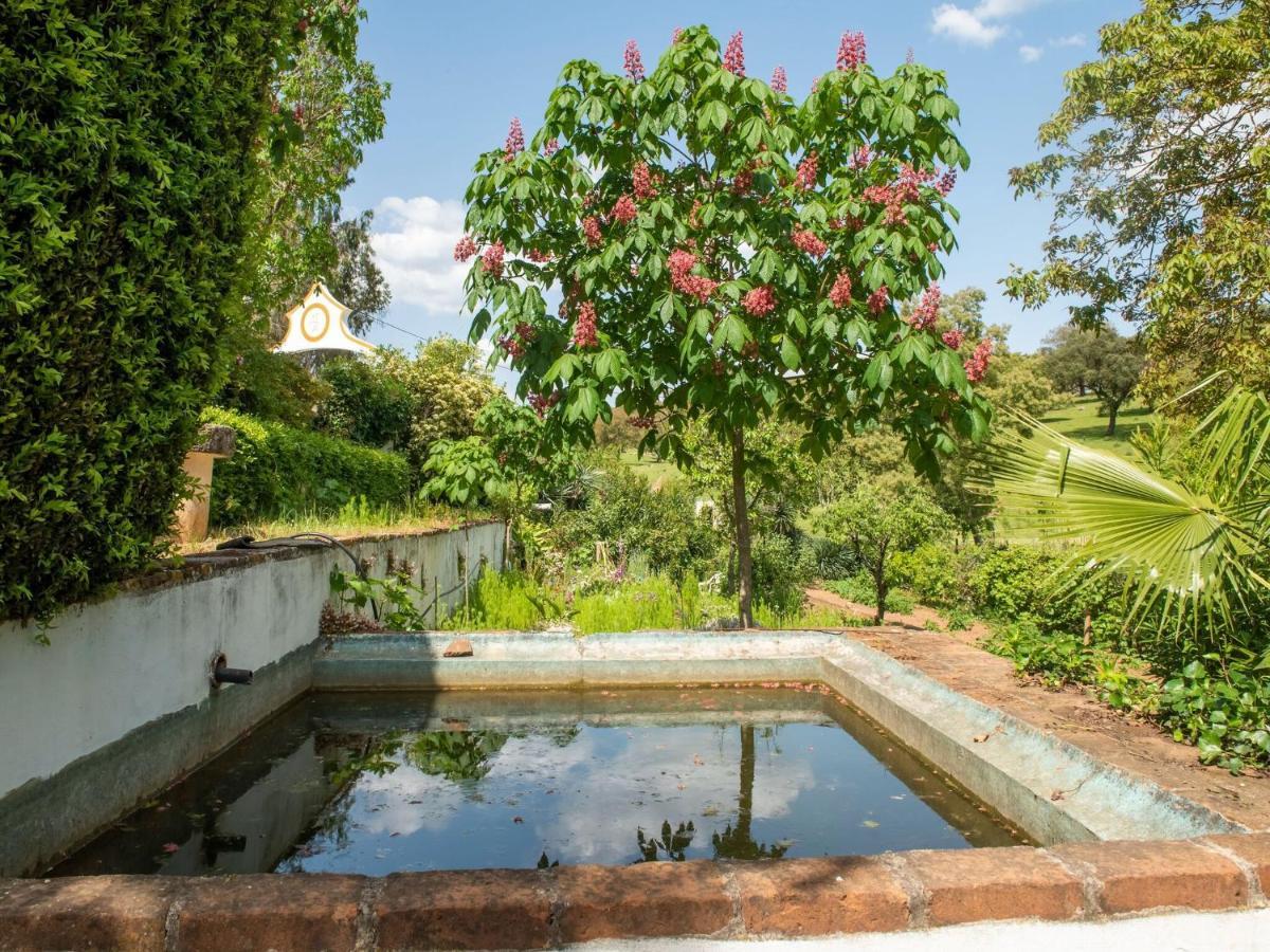 Vila House With Authentic Tiling And Antique Furniture Montemor-o-Novo Exteriér fotografie