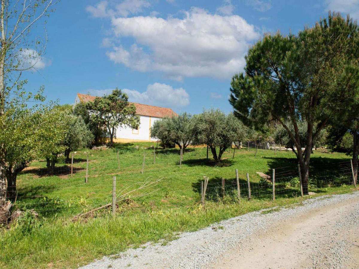 Vila House With Authentic Tiling And Antique Furniture Montemor-o-Novo Exteriér fotografie